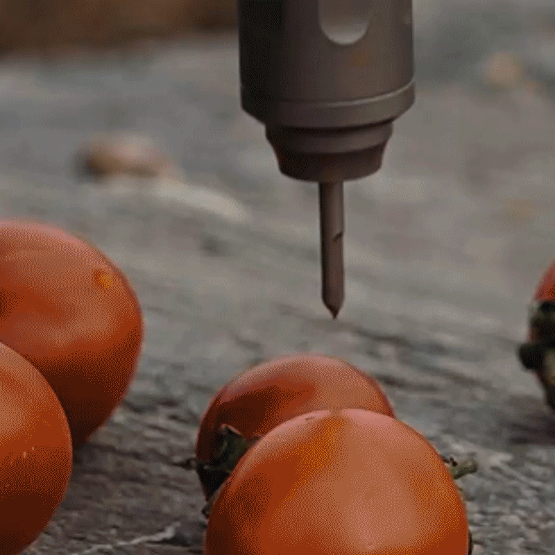 EvoGrip Titanium Toothbrush|The Ultimate 3-in-1 EDC Travel Tool