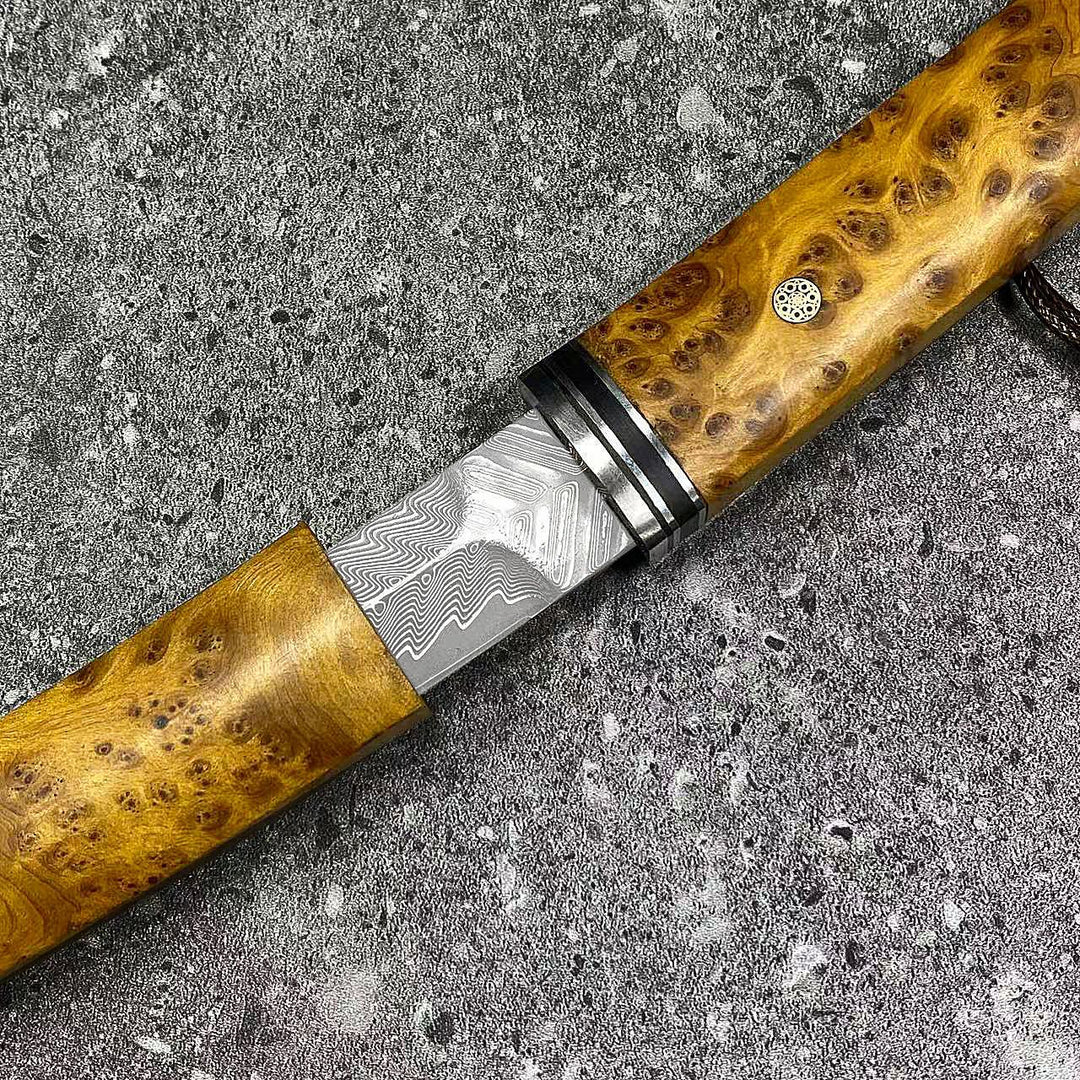 The Kiyora:Damascus VG10 Tanto EDC Knife with Thuja Wood Handle