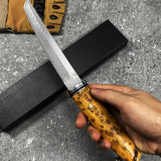 The Kiyora:Damascus VG10 Tanto EDC Knife with Thuja Wood Handle