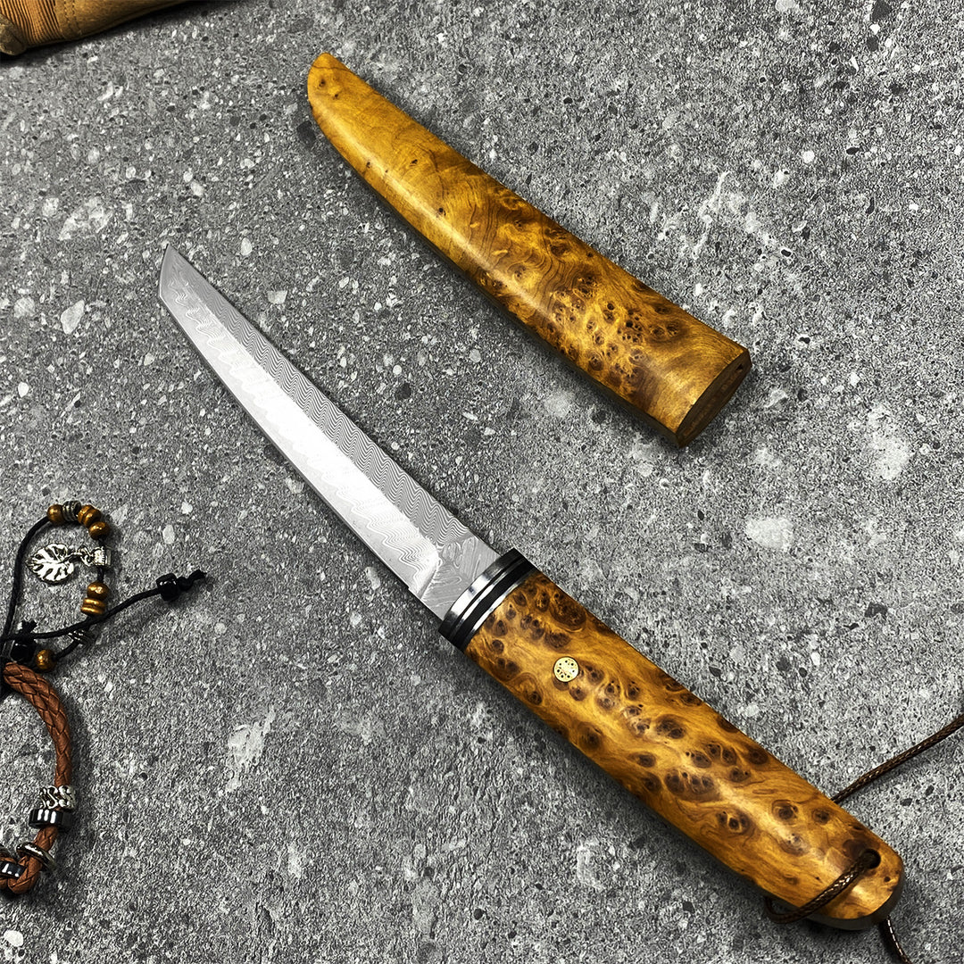 The Kiyora:Damascus VG10 Tanto EDC Knife with Thuja Wood Handle