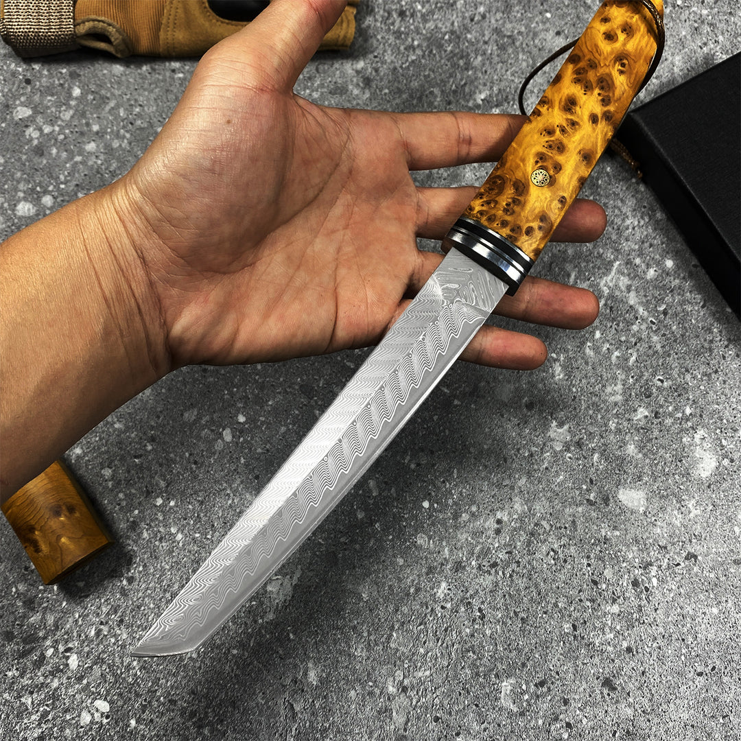 The Kiyora:Damascus VG10 Tanto EDC Knife with Thuja Wood Handle