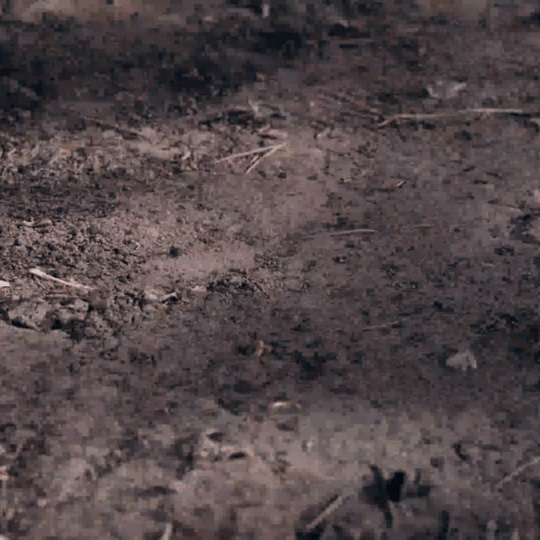 The WindSlice - Mini EDC Titanium Folding Utility Knife