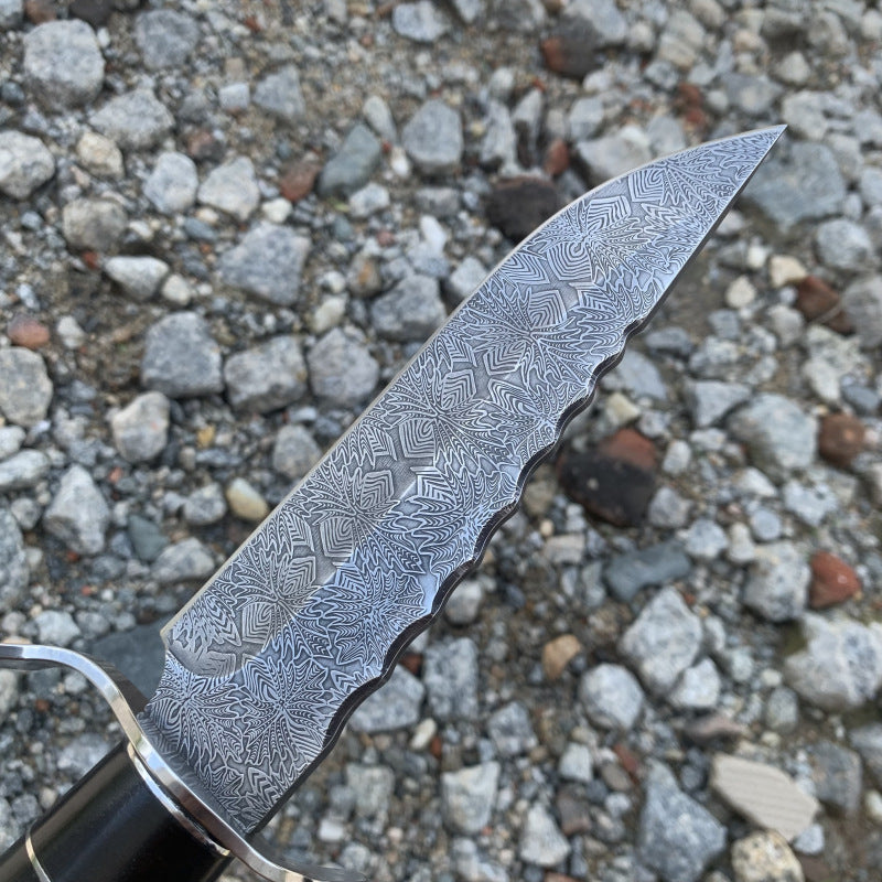 Solar Abyss: Premium 9Cr18Mov EDC Knife | Ebony Wood Handle