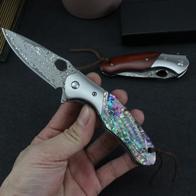 Shellshade Swoop:  VG10 Stainless Steel Pocket Hunting Knife