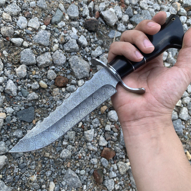 Solar Abyss: Premium 9Cr18Mov EDC Knife | Ebony Wood Handle