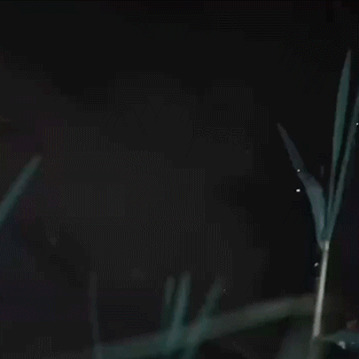 The CoreLite - 6-in-1 Modular Titanium Multitool Pen