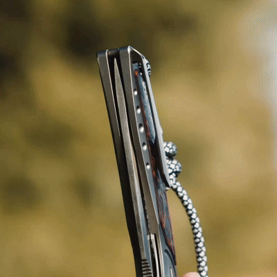 GraphiX: Ti & Carbon Folding Knife — M390/D2 Blade