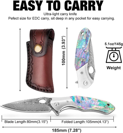 Shellshade Swoop:  VG10 Stainless Steel Pocket Hunting Knife