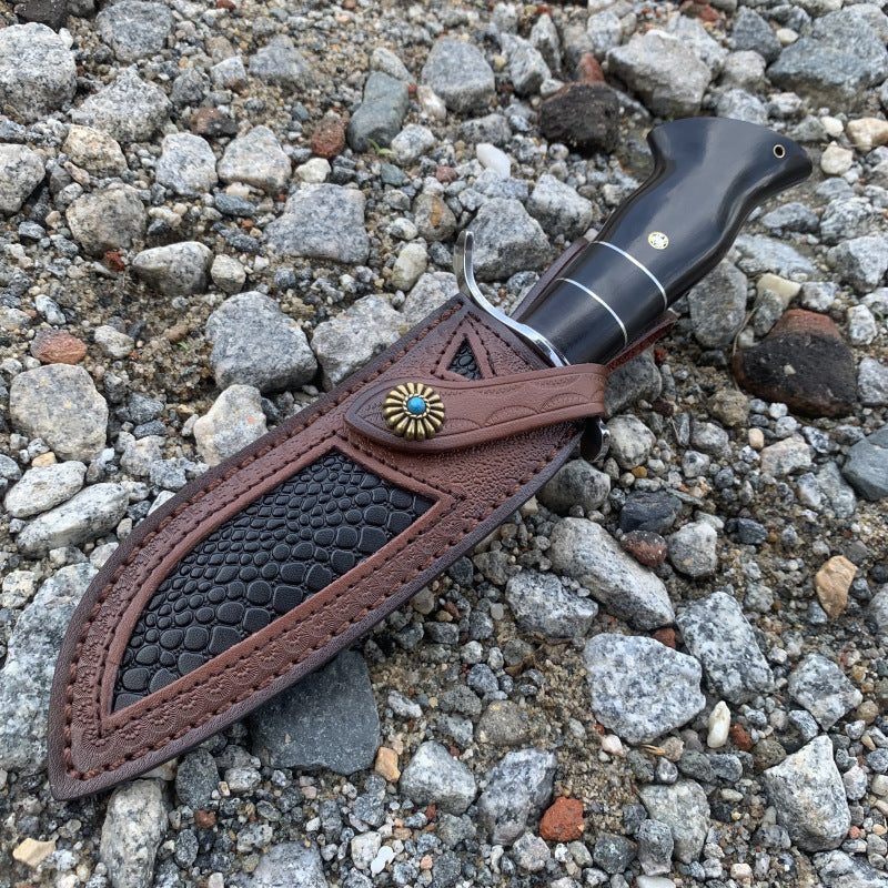 Solar Abyss: Premium 9Cr18Mov EDC Knife | Ebony Wood Handle