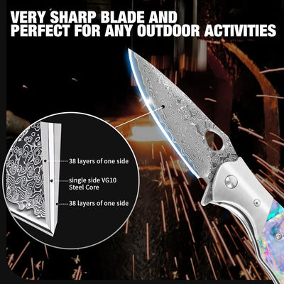 Shellshade Swoop:  VG10 Stainless Steel Pocket Hunting Knife