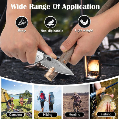 Shellshade Swoop:  VG10 Stainless Steel Pocket Hunting Knife