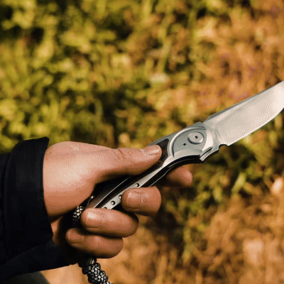 GraphiX: Ti & Carbon Folding Knife — M390/D2 Blade