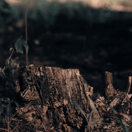 The WindSlice - Mini EDC Titanium Folding Utility Knife