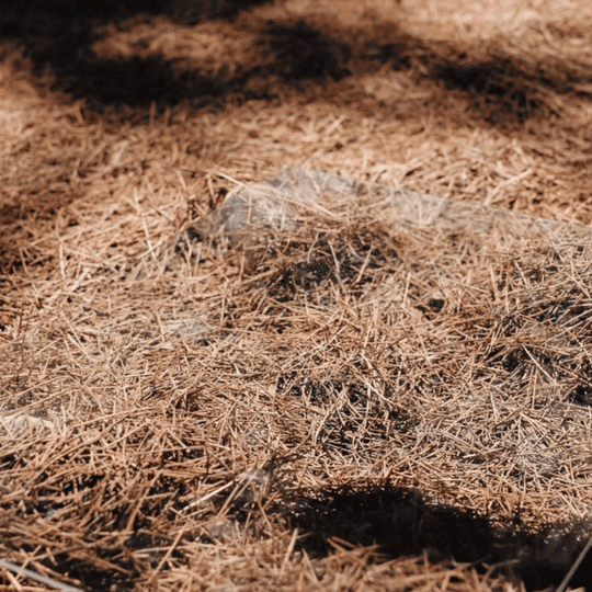 OmniPro 2.0 - The Titanium Wrench That Does It All