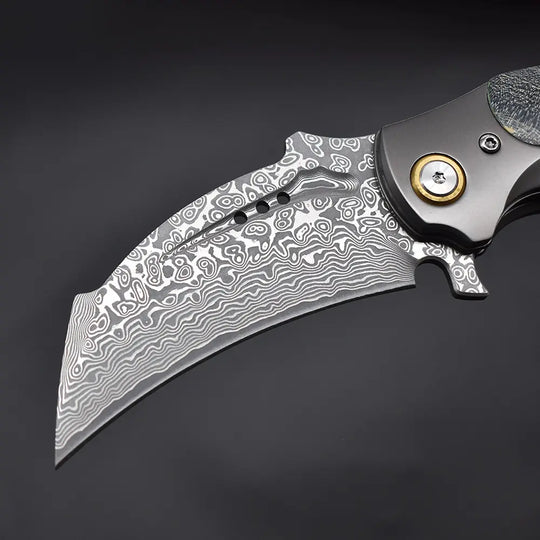 Tyrannosaur Claw | VG10 Damascus EDC Knife