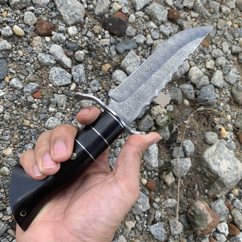 Solar Abyss: Premium 9Cr18Mov EDC Knife | Ebony Wood Handle