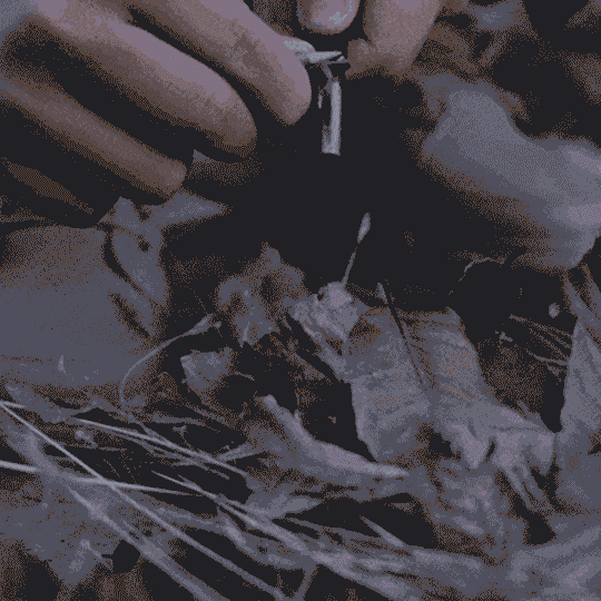 The Infinity - Titanium Firestarter & Multi-Tool